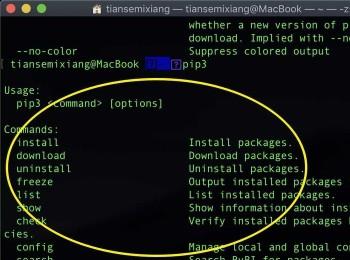 如何查看MacBook苹果电脑中是否安装pip(苹果电脑怎么安装pip)