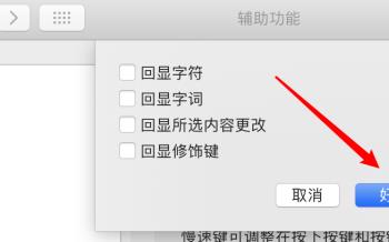 MacBook苹果电脑中如何取消键入反馈时显示回显字词