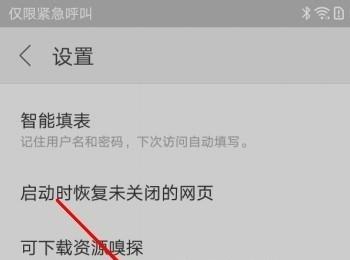 如何将搜狗浏览器设置为手机的默认浏览器？