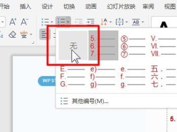 怎么在WPS幻灯片中插入编号(wps幻灯片编号起始值为0怎么设置)