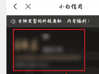 京东APP怎么查看自己的小白信用值(京东怎么查看小白信用分)