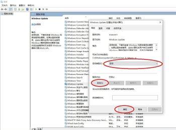 在win10电脑中打不开自带的应用商店了怎么办