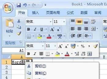 Excel2007中图片批注的添加(批注可以添加图片吗)