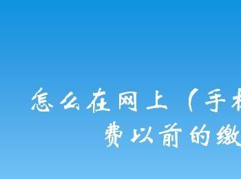 怎么在网上（手机上）查询电费以前的缴费记录