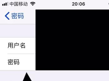 iPhone苹果手机怎么查看保存的悟空问答密码