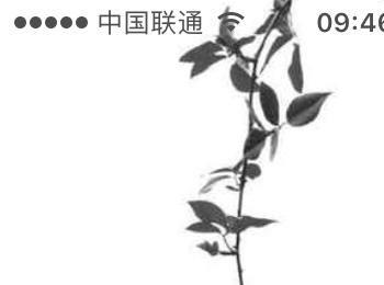 苹果7plus怎么重启(苹果11怎么关机重启)