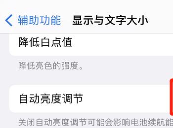 iPhone手机的屏幕怎么总是变暗？(iphone12玩游戏屏幕突然变暗)