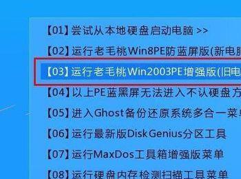 老毛桃aida64环境监测工具查看电脑配置参数方法