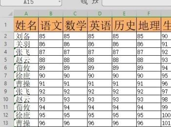 电脑WPS表格没有数据的空白单元格如何隐藏