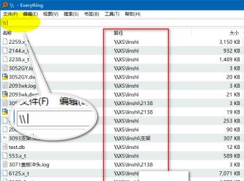 电脑版everything怎么搜索共享内容(everything搜索局域网文件)