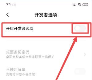 小米手机MIUI 11的开发者模式如何设置开启