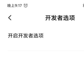 如何开启小米手机的开发者选项(小米手机怎样打开手机开发者选项)