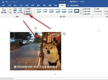 怎么使用Word文档中的重置图片功能(移地使用重置成本为什么不包括)