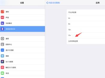 如何将iPad Pro应用访问限制设置为17+