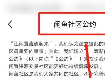 如何查看闲鱼app中的闲鱼社区公约(闲鱼在哪儿查看闲鱼公约)