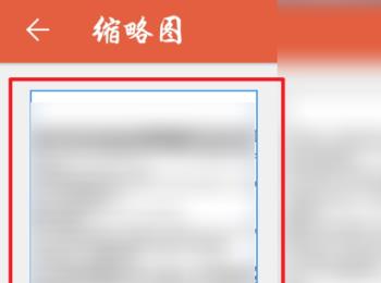 如何在手机wps中查看pdf文档的缩略图(手机wps怎么转换成pdf)