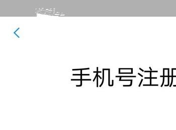 新手机号如何注册支付宝账号(新手机号的支付宝账号注册过了)