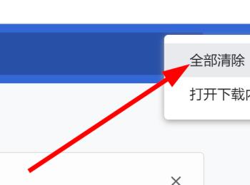 Chrome谷歌浏览器中的下载记录怎么清空