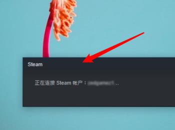 win10电脑中的steam双击打不开没反应如何解决