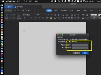 Mac上的wps文件怎么设置成别人只读不能修改呢