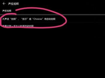 怎样在华为相机上设置声控拍照功能(华为手机相机专业模式详解)