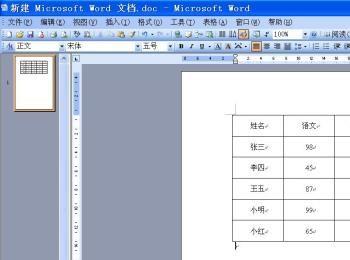 word2003的表格怎么求和？(如何在word2003中插入表格)