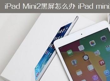 iPad Mini2黑屏按Home键没反应 iPad mini2黑屏原因及解决