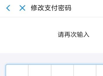 手机支付宝如何修改支付密码？(手机支付宝怎样修改支付密码)