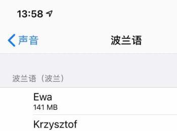 怎么打开iPhone苹果手机中的朗读语言模式