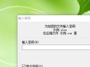 怎么在WinRAR软件中给文件设置解压密码