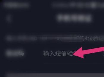 怎么打开手机版抖音中的锁定保护功能