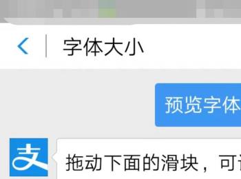 怎么更改手机版支付宝的字体大小(怎么更改手机版支付宝的字体大小呢)