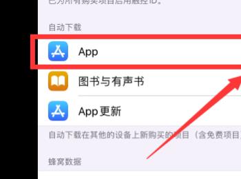 如何在ipad和iphone中关闭软件同步功能(iphone和ipad怎么取消应用同步)