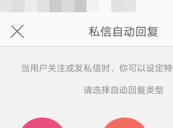 怎么在微博中开启自动回复私信功能(微博铁粉如何开启彩蛋任务)