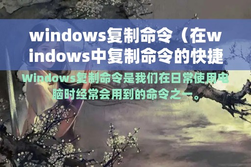 windows复制命令（在windows中复制命令的快捷组合键）