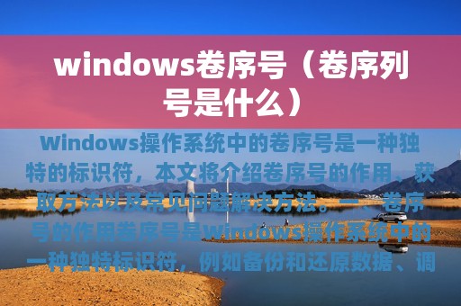 windows卷序号（卷序列号是什么）