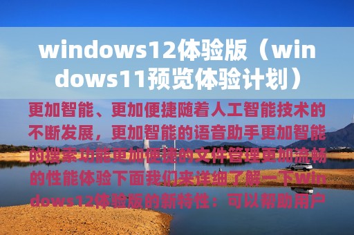 windows11预览体验计划(windows12体验版)