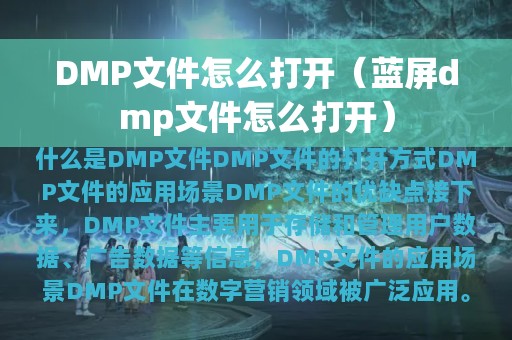 DMP文件怎么打开（蓝屏dmp文件怎么打开）