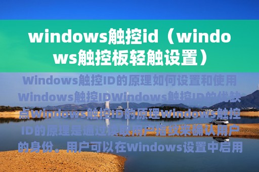 windows触控id（windows触控板轻触设置）