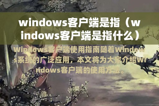 windows客户端是指（windows客户端是指什么）