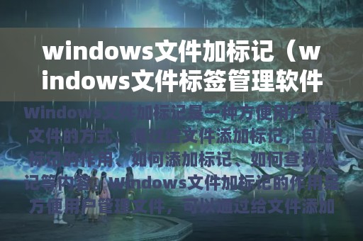 windows文件加标记（windows文件标签管理软件）