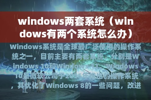 windows两套系统