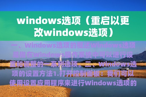 windows选项（重启以更改windows选项）