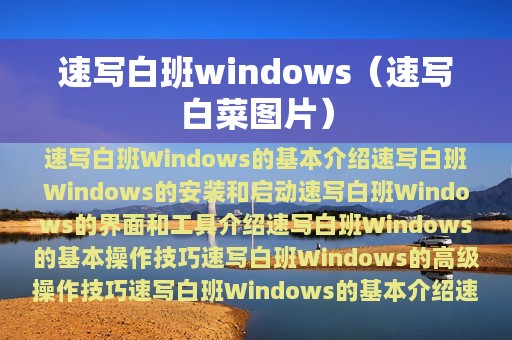 速写白班windows（速写白菜图片）