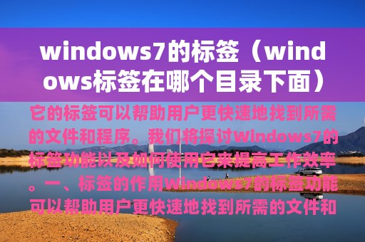 windows7的标签（windows标签在哪个目录下面）