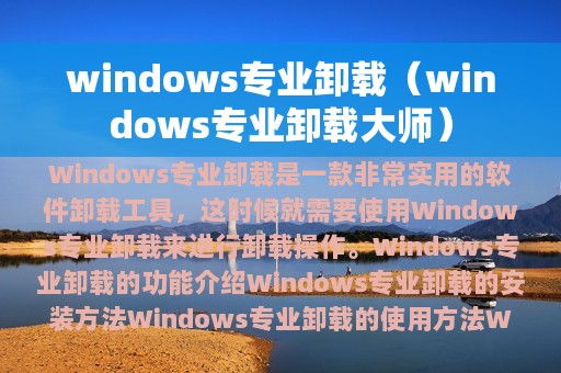 windows专业卸载大师(windows专业卸载)