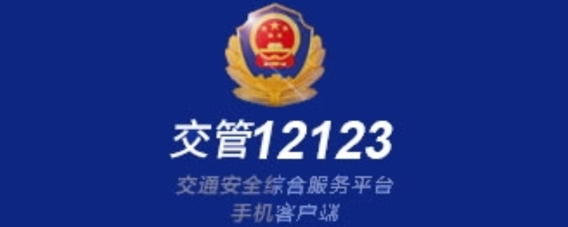 12123改密码审核结果多久能出来