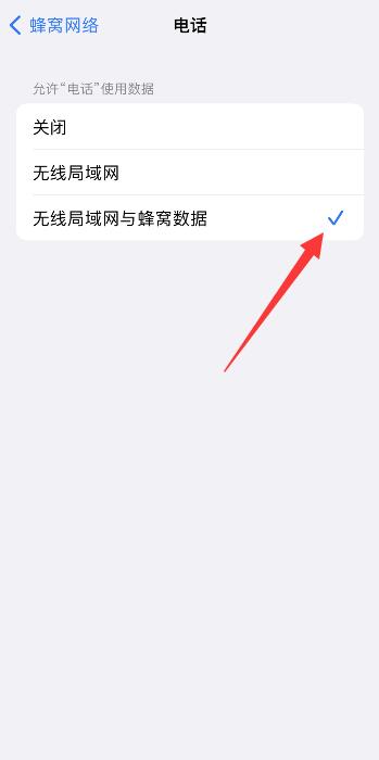 iPhone13怎么设置通话不断网