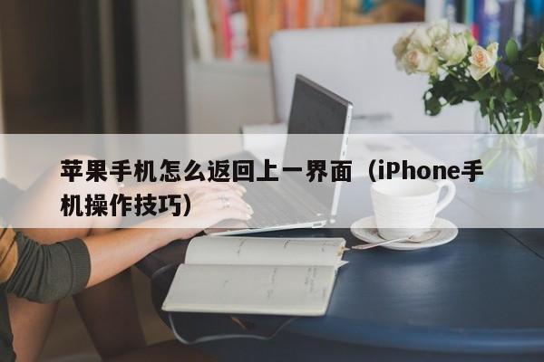 iPhone手机操作技巧(苹果手机怎么返回上一界面)