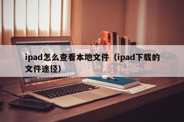 ipad怎么查看本地文件